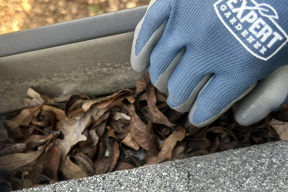 Gutter Cleaning Hyde Park