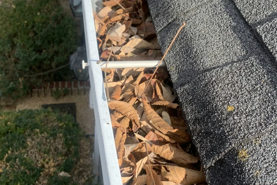 Gutter Cleaning Hyde Park