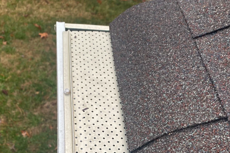 Gutter Cleaning Hyde Park